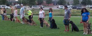 Dog training class at American Dog School