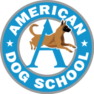 American Dog School Logo Fort Collins Co