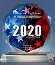Best of Fort Collins American Dog School 2020