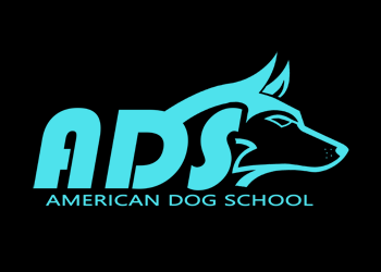 American Dog School Logo