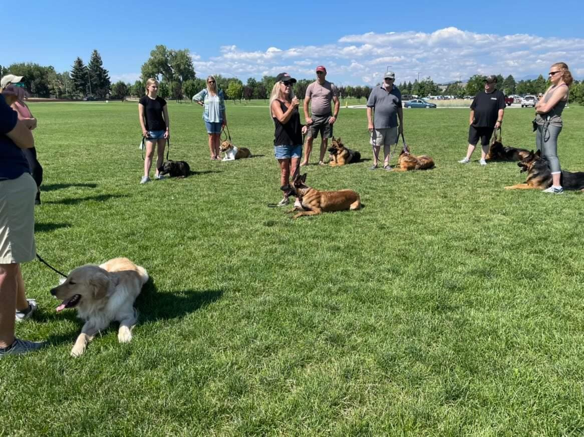 A large group class at American Dog School